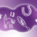 A purple cloud with superstitious images including a black cat, broken mirror, the number 13 and a horse shoe.