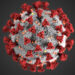 COVID-19 cell